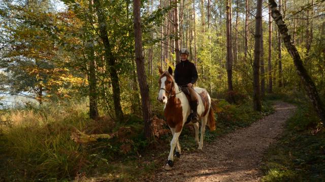 À cheval