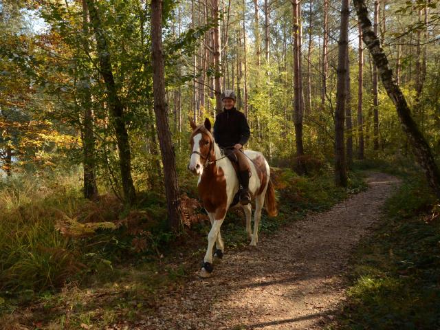 À cheval