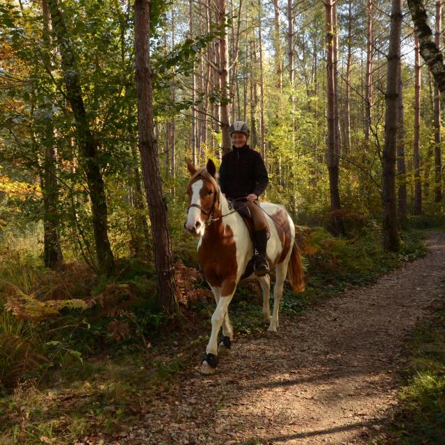 À cheval