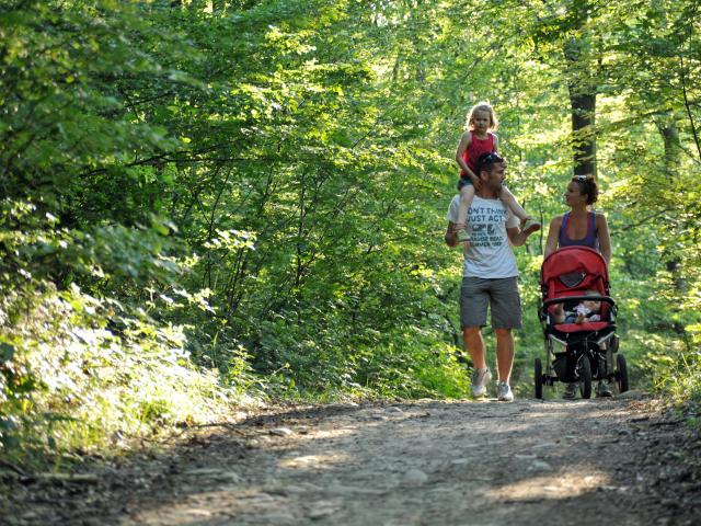 Activités en famille