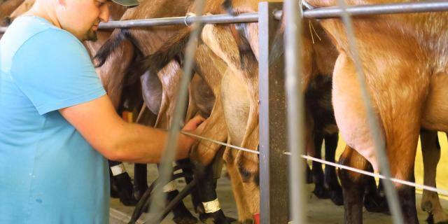 Ferme du Pré Chevrier