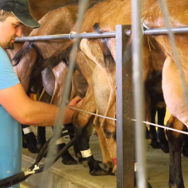 Ferme du Pré Chevrier