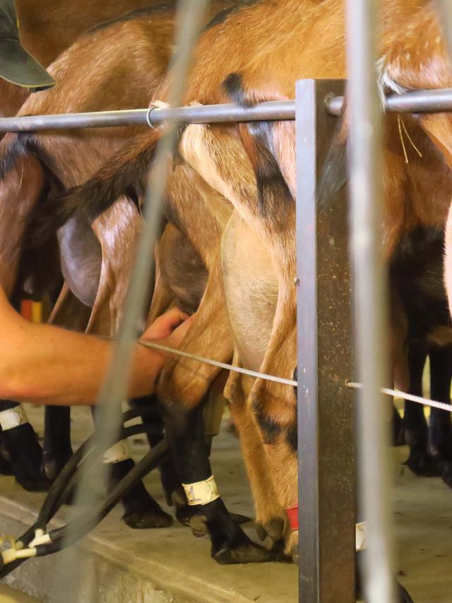 Ferme du Pré Chevrier