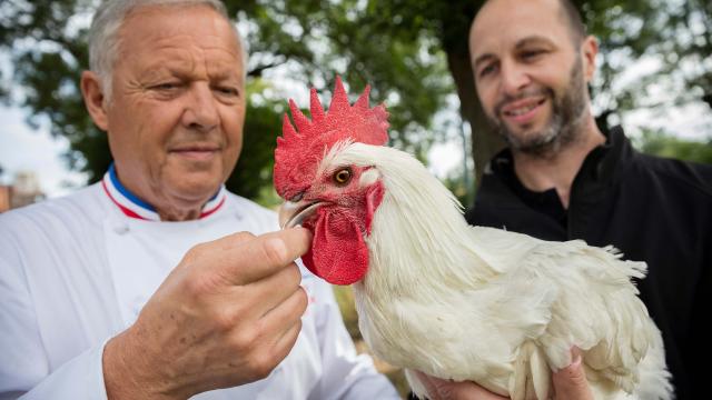 Le chef Georges Blanc et l'éleveur Cyril Degulaire autour d'un poulet de Bresse AOC. Infos auprès de votre office de tourisme Bourg en bresse destinations.