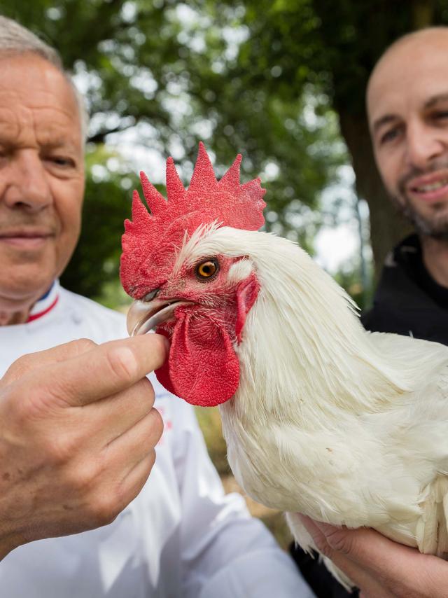 Le chef Georges Blanc et l'éleveur Cyril Degulaire autour d'un poulet de Bresse AOC. Infos auprès de votre office de tourisme Bourg en bresse destinations.