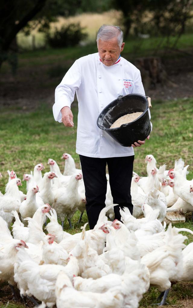 Georges Blanc donne à manger à des Volailles de Bresse