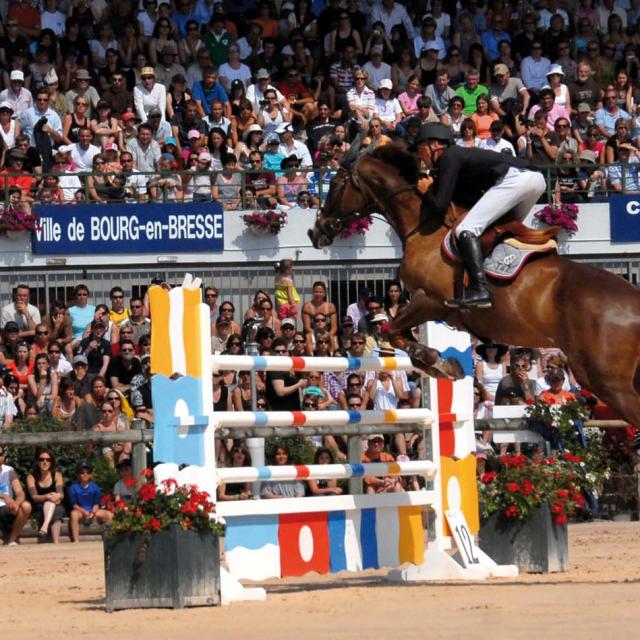 19Ã¨ Ã©dition du jumping international :

parcours et saut d'obstacle.