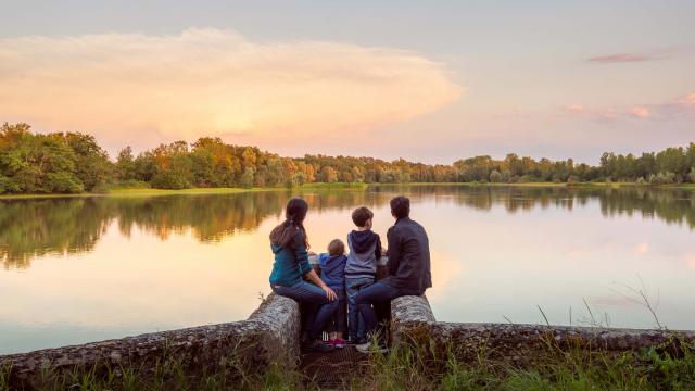 Etang de La Dombes