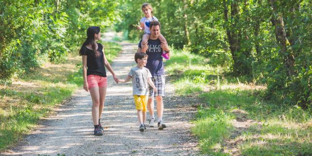 Visitez les étangs de La Dombes en famille - Office de tourisme Bourg-en-Bresse destinations