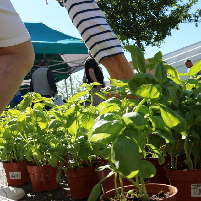 Marché de Bourg-en-Bresse