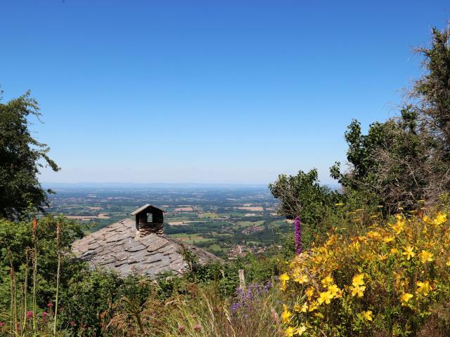 Point de vue