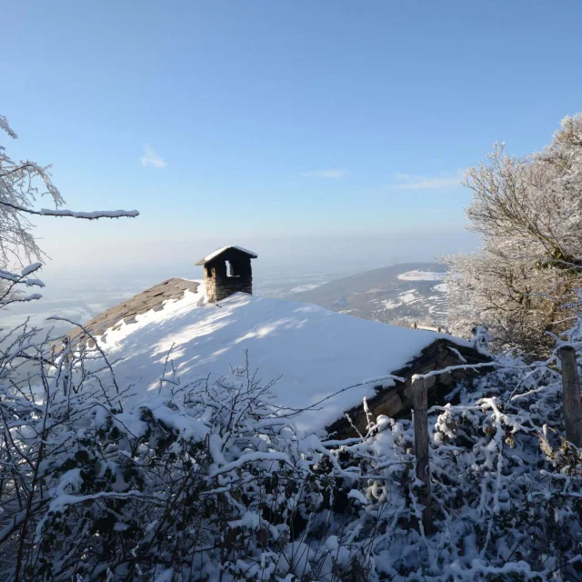 Mont enneigé