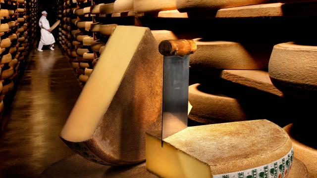 Cave de comté