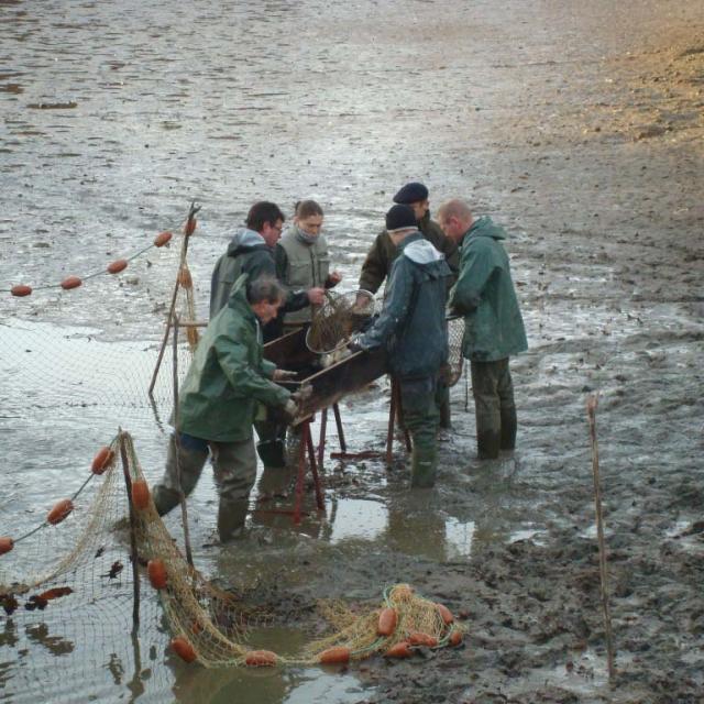 Pêche d'Etangs