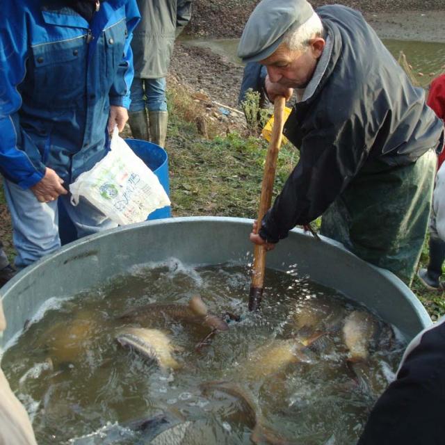 Pêche d'Etangs