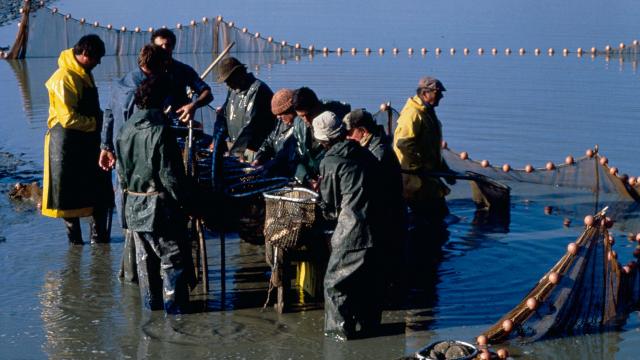 Pêche d'Etang Dombes