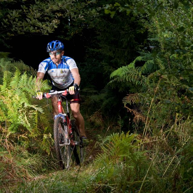 Vtt Sportif Vers Le Lac Genin©marc Chatelain Aintourisme Fin 300916