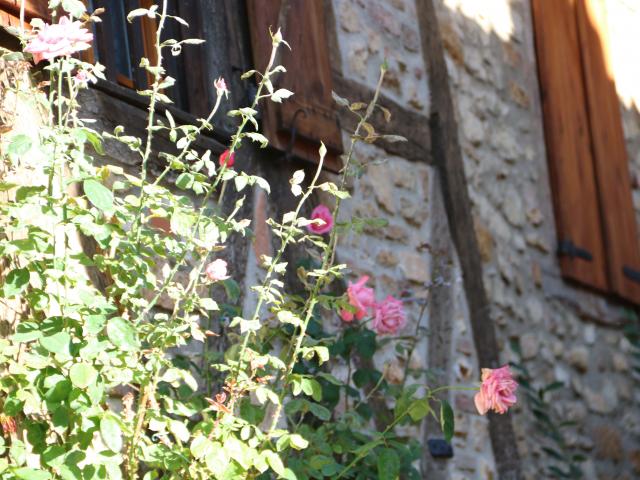 ruelle en fleurs