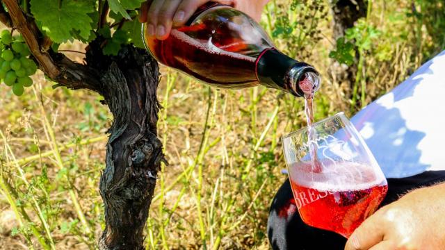 Bouteille et verre de Cerdon