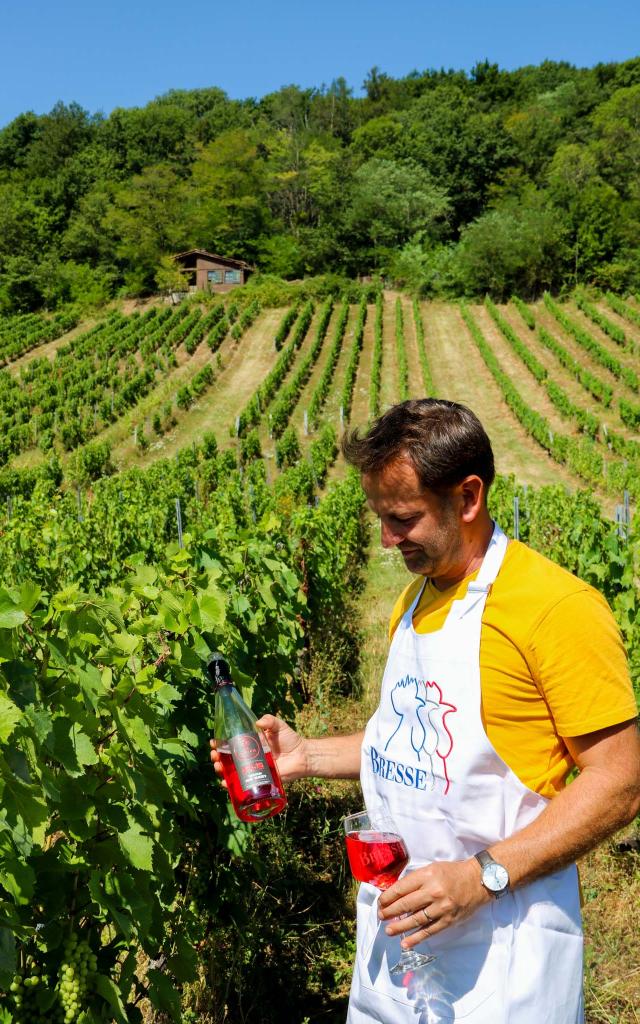 Bouteille de Cerdon dans les vignes