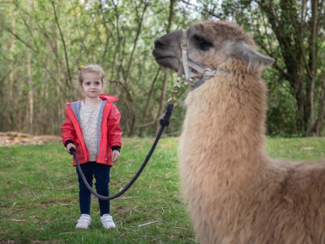 Lama et une enfant