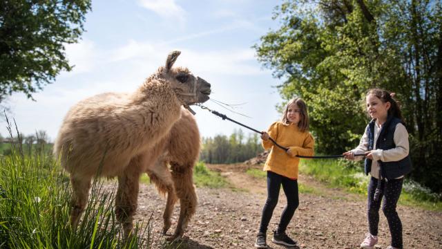 Enfants et Lama