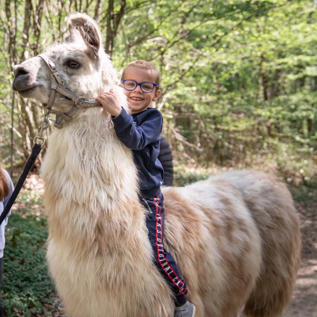 Lama et enfant