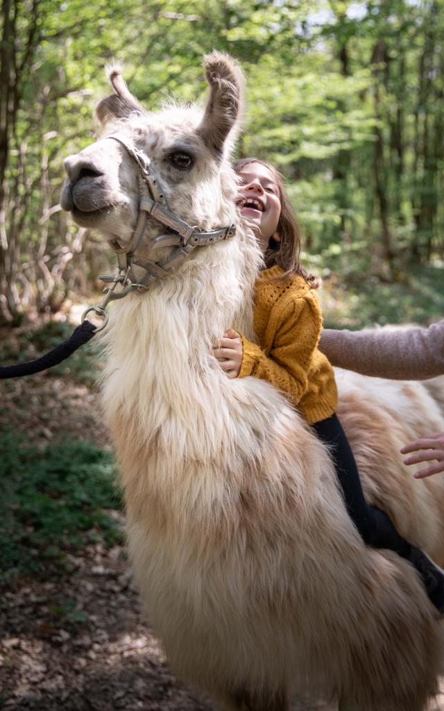 Lama et enfant