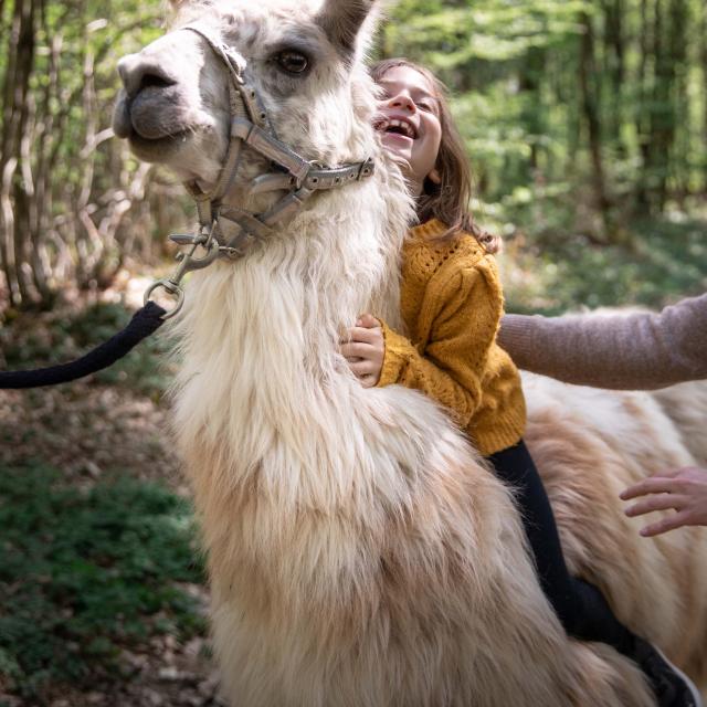 Lama et enfant