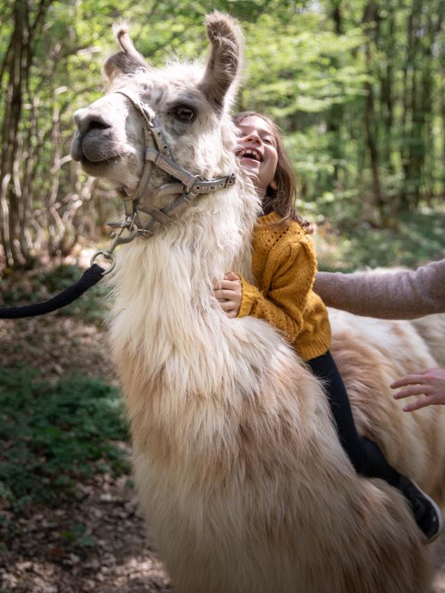 Lama et enfant