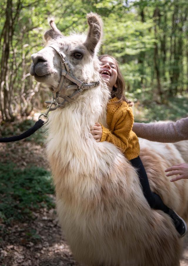 Lama et enfant