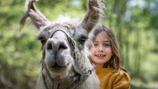 Lama et enfant