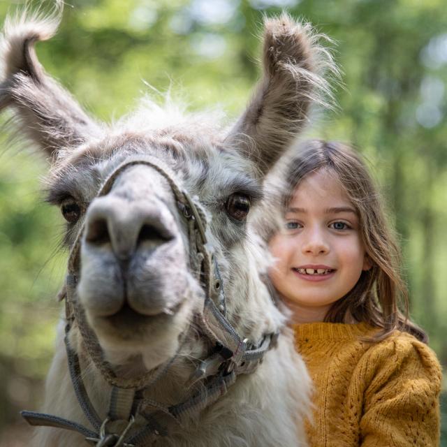 Lama et enfant