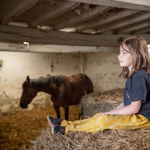 Box d'un cheval et deux enfants