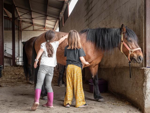 Un cheval et deux enfants