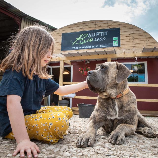 Enfant avec un chien