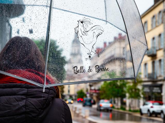 Pluie