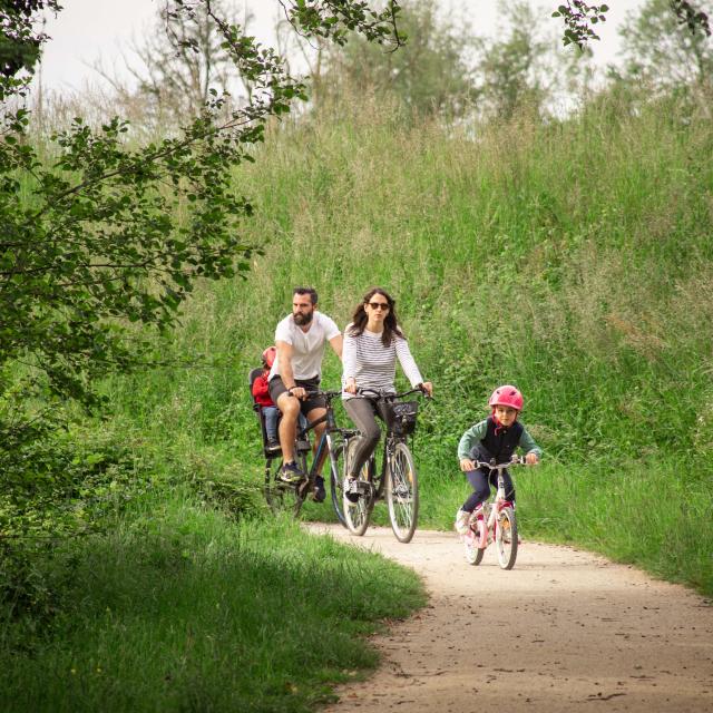 Vélo en famille