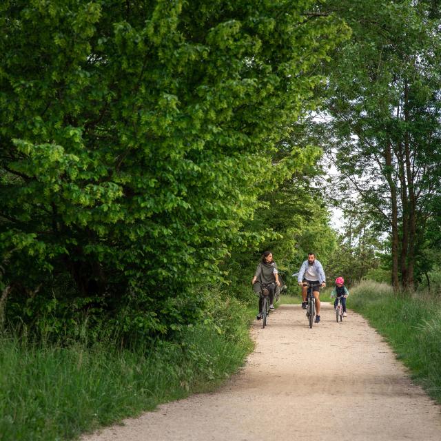 Vélo en famille