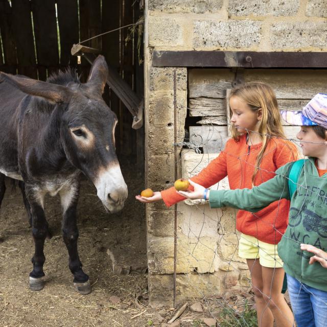 Ane et enfants