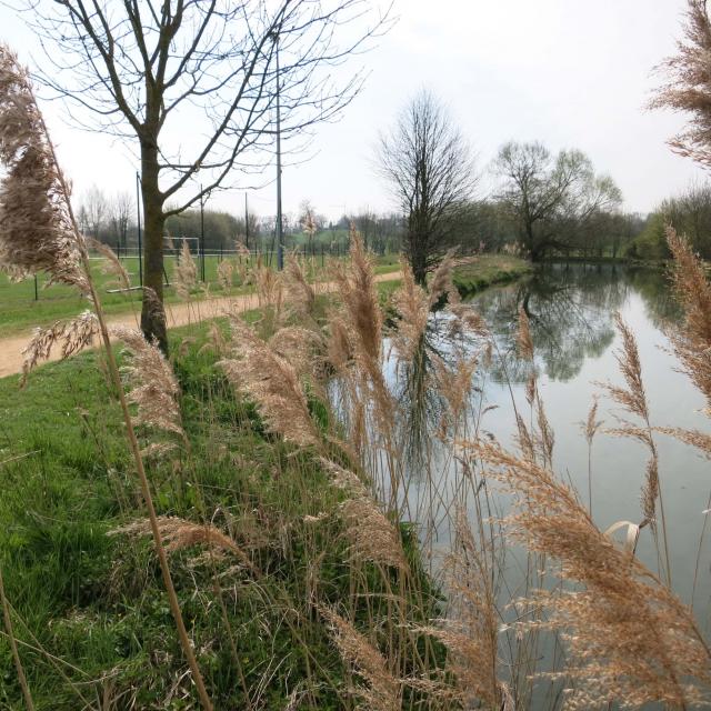 Tour Des Lacs Georges Janody 0800 (4)