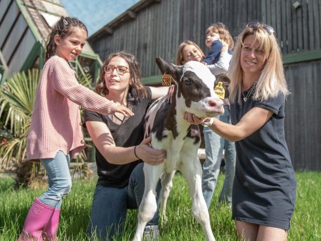 Petit veau entouré d'enfants et d'adultes