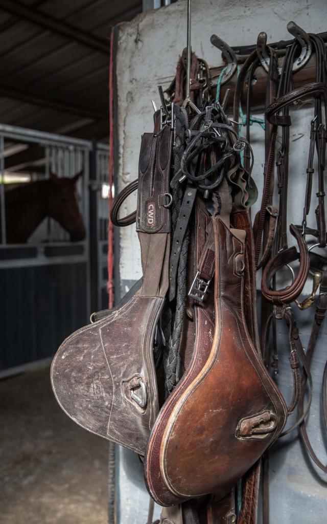 Equipement chevaux selles, étriers, licol