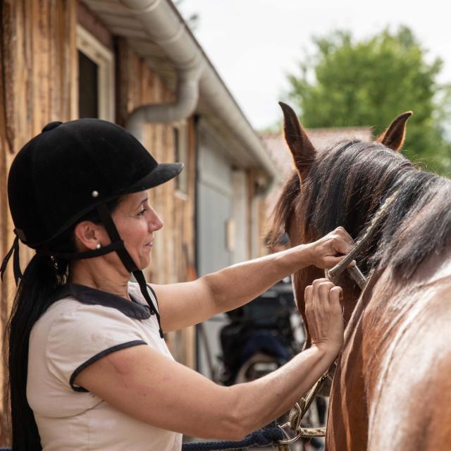 Cheval et dresseur