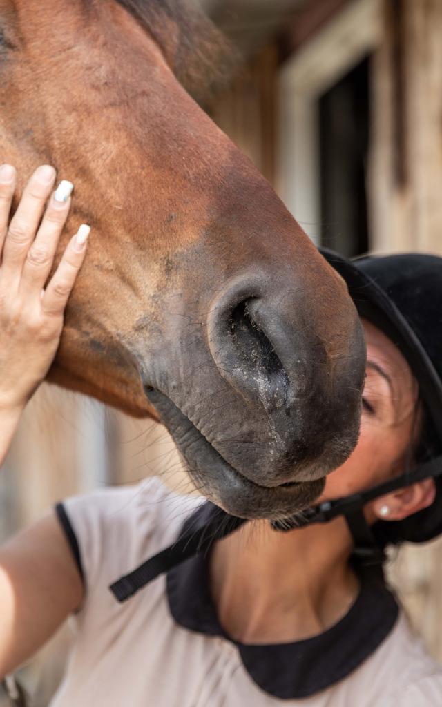 Cheval et dresseur