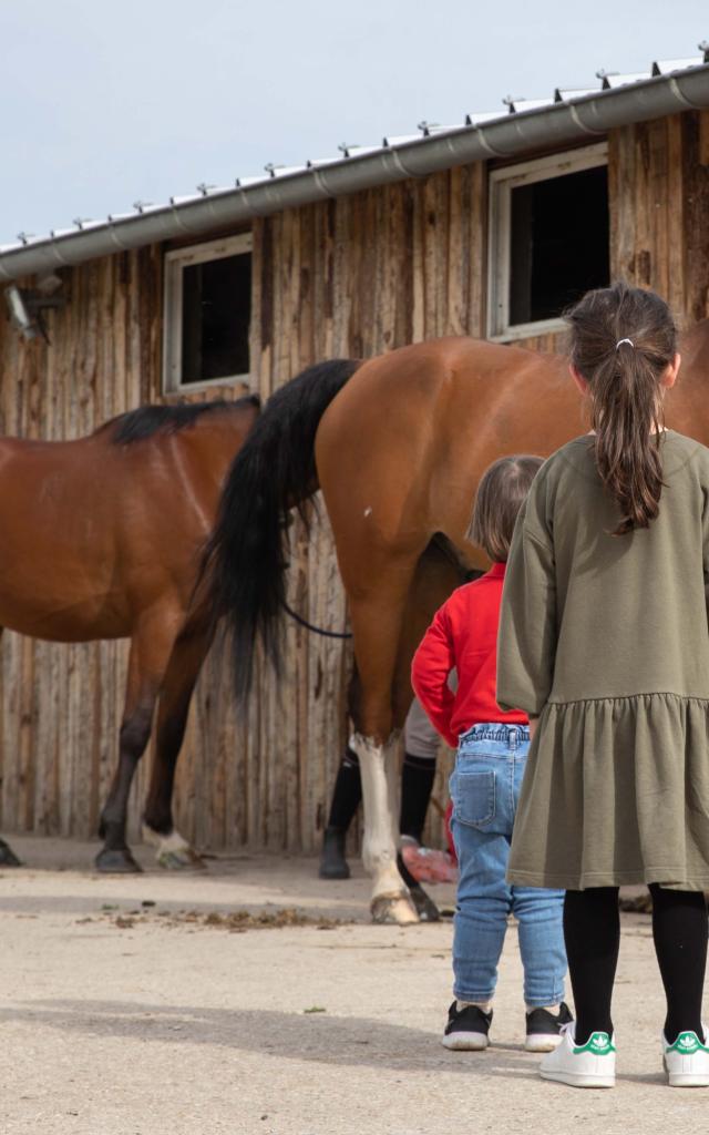 Enfants et chevaux