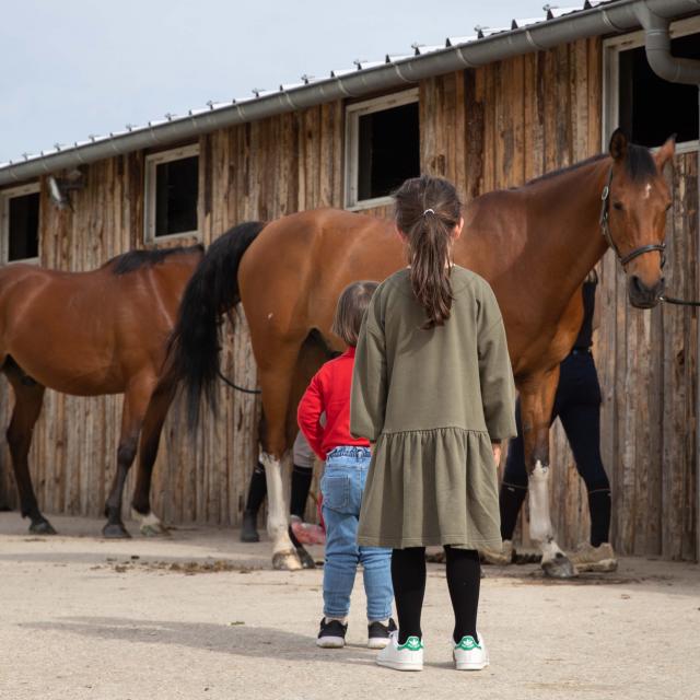 Enfants et chevaux