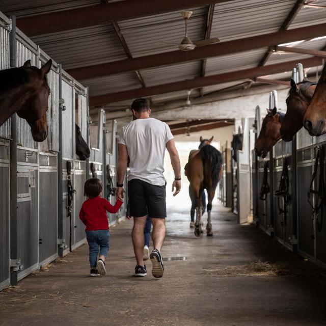 Boxes chevaux Ecuries Griffond