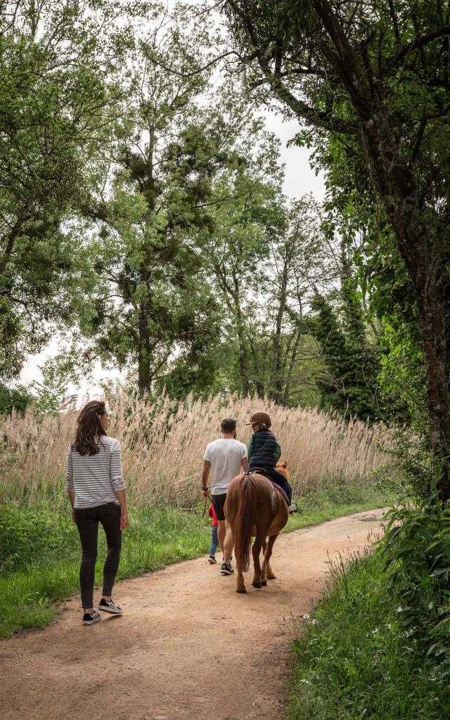 Balade à cheval