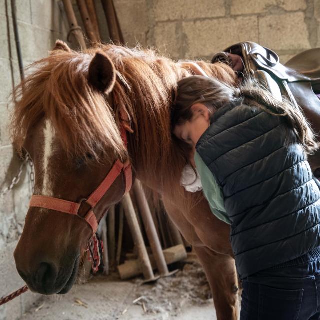 Un poney et une enfant